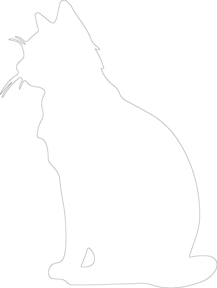 Ussuri Cat outline silhouette vector