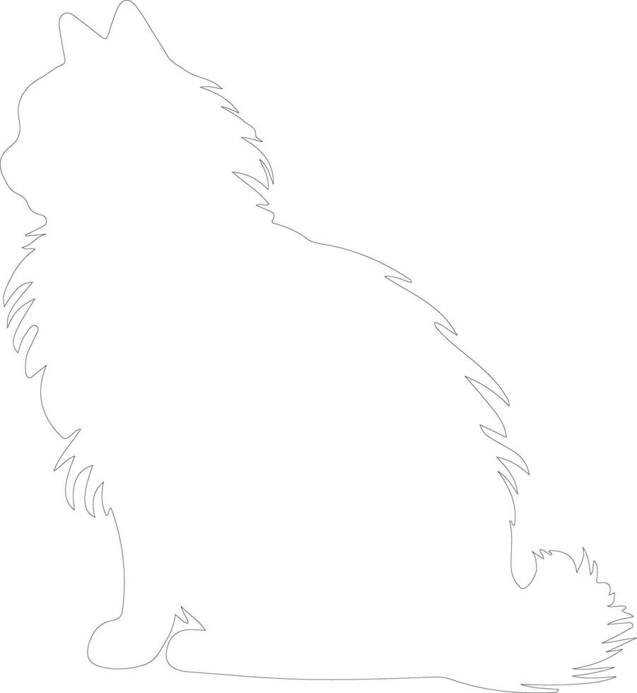 British Longhair Cat outline silhouette vector