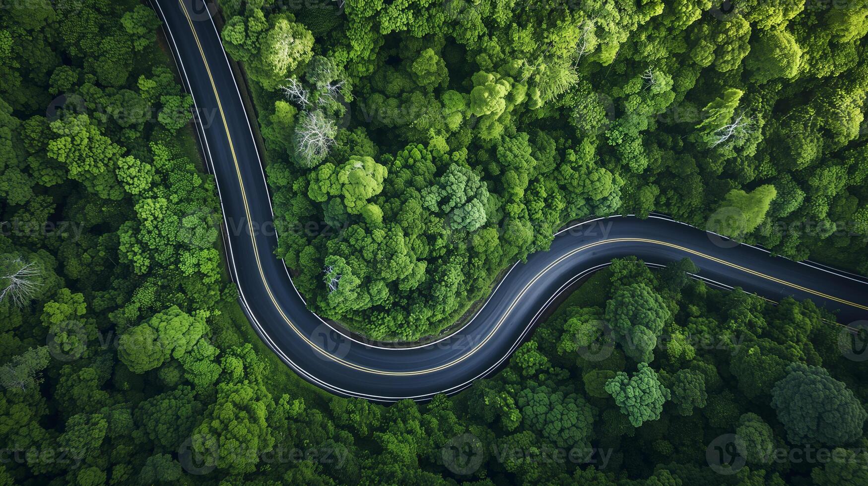 ai generado aéreo ver de un curvilíneo la carretera rebanar mediante un denso, vibrante verde bosque, representando viajar, naturaleza, y Respetuoso del medio ambiente infraestructura. foto