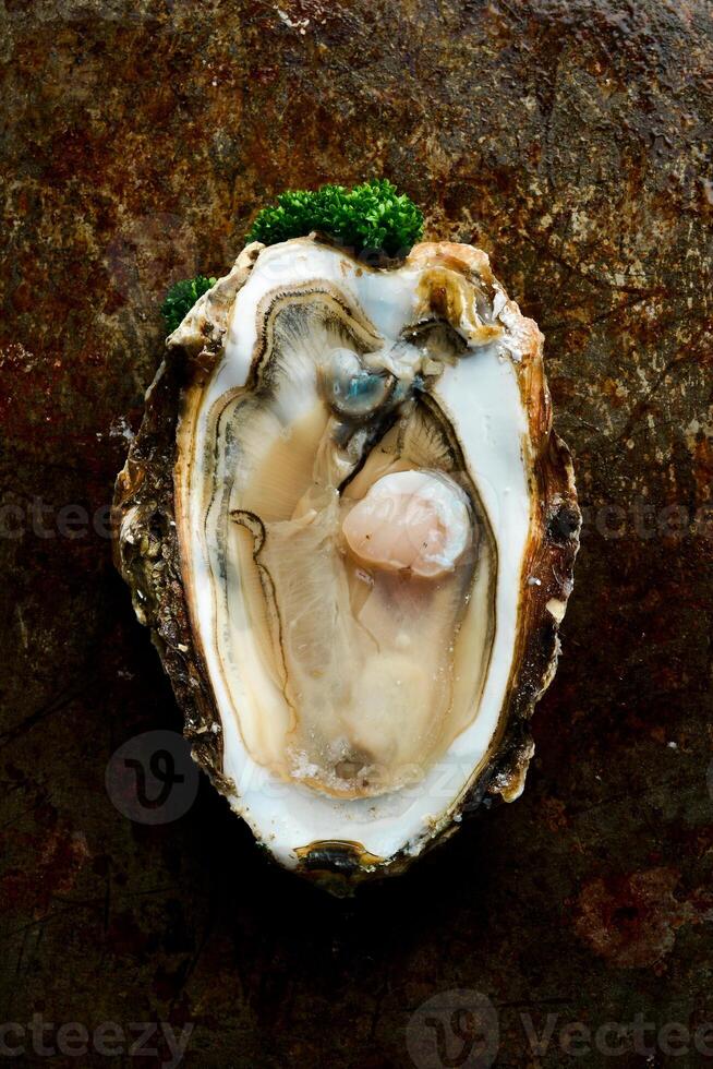 Open shucked fresh oysters. Macro photo. On a metal table background. Rustic style. photo