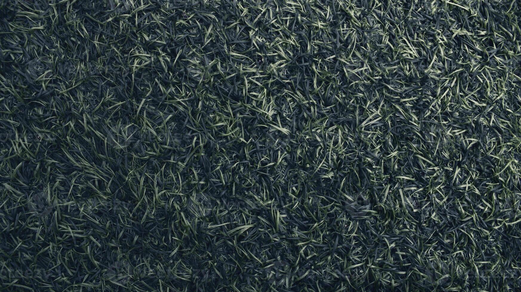 Grunge texture of synthetic grass photo