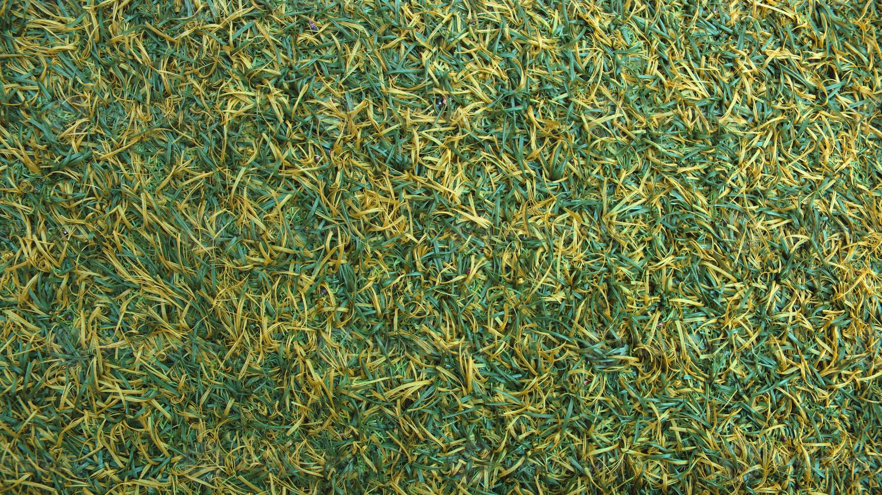 Grunge texture of synthetic grass photo