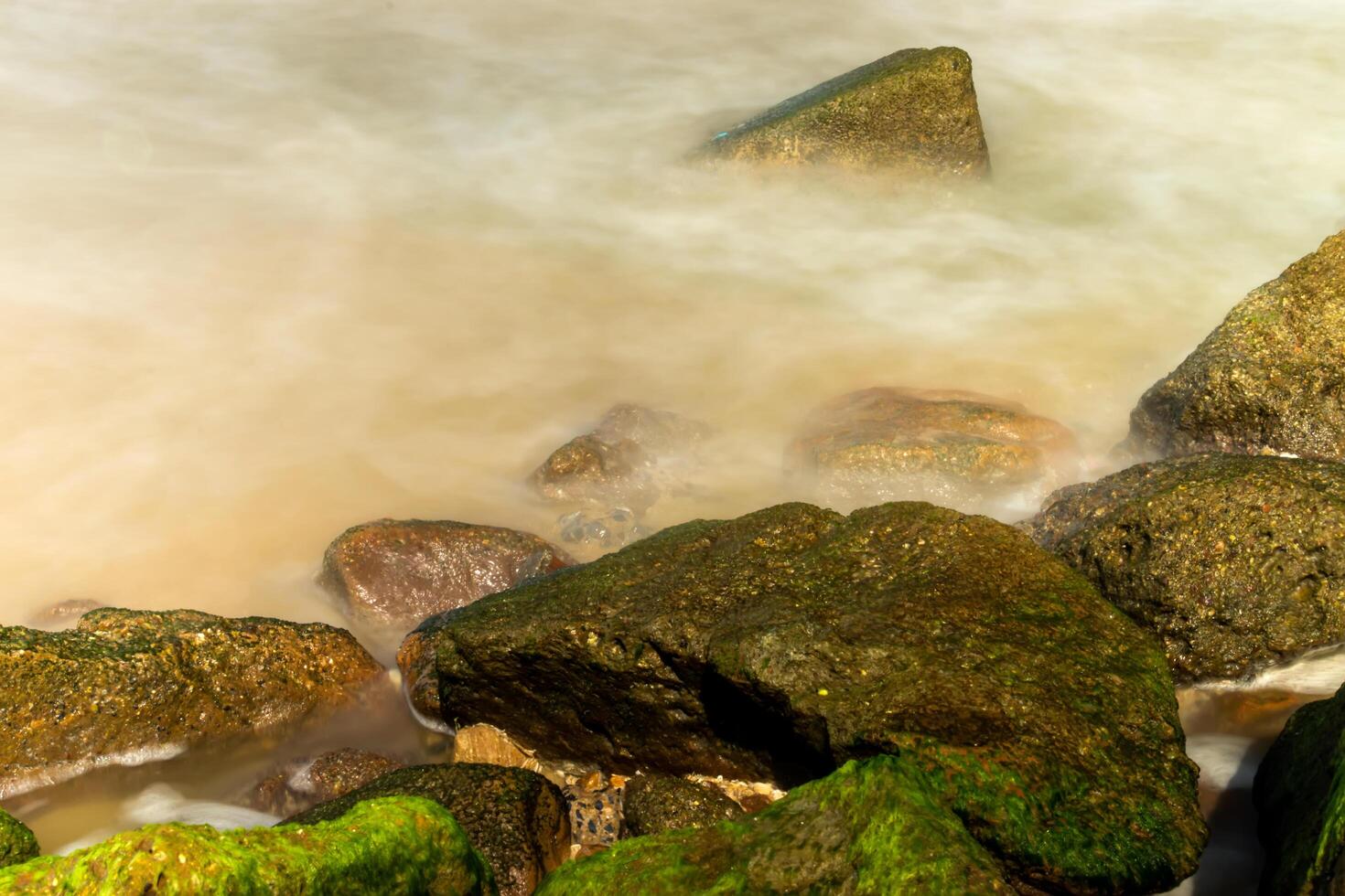 Green algae on rocks photo