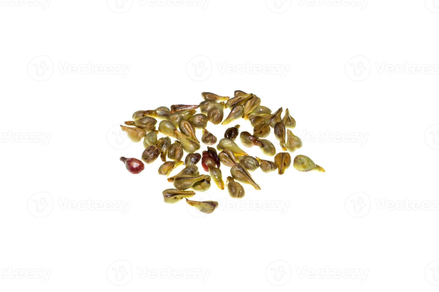 Close up seed of grape. photo