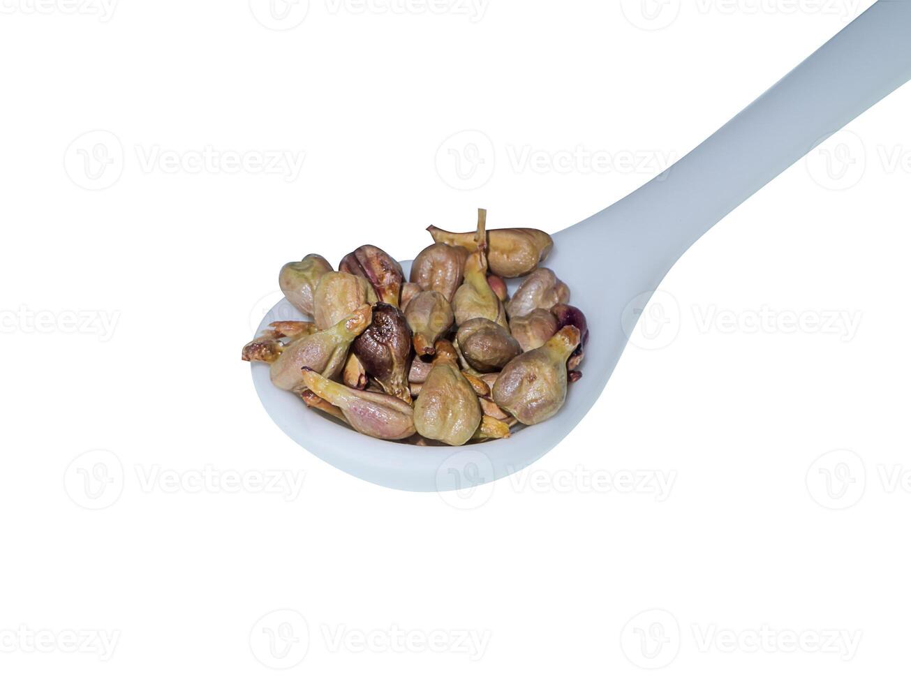 Close up seed of grape. photo