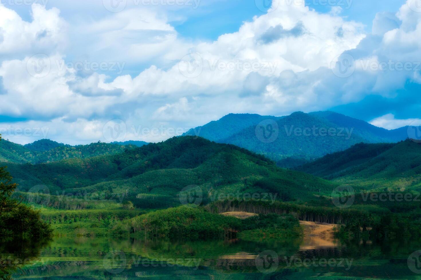 Green forest view on the Mountain. photo