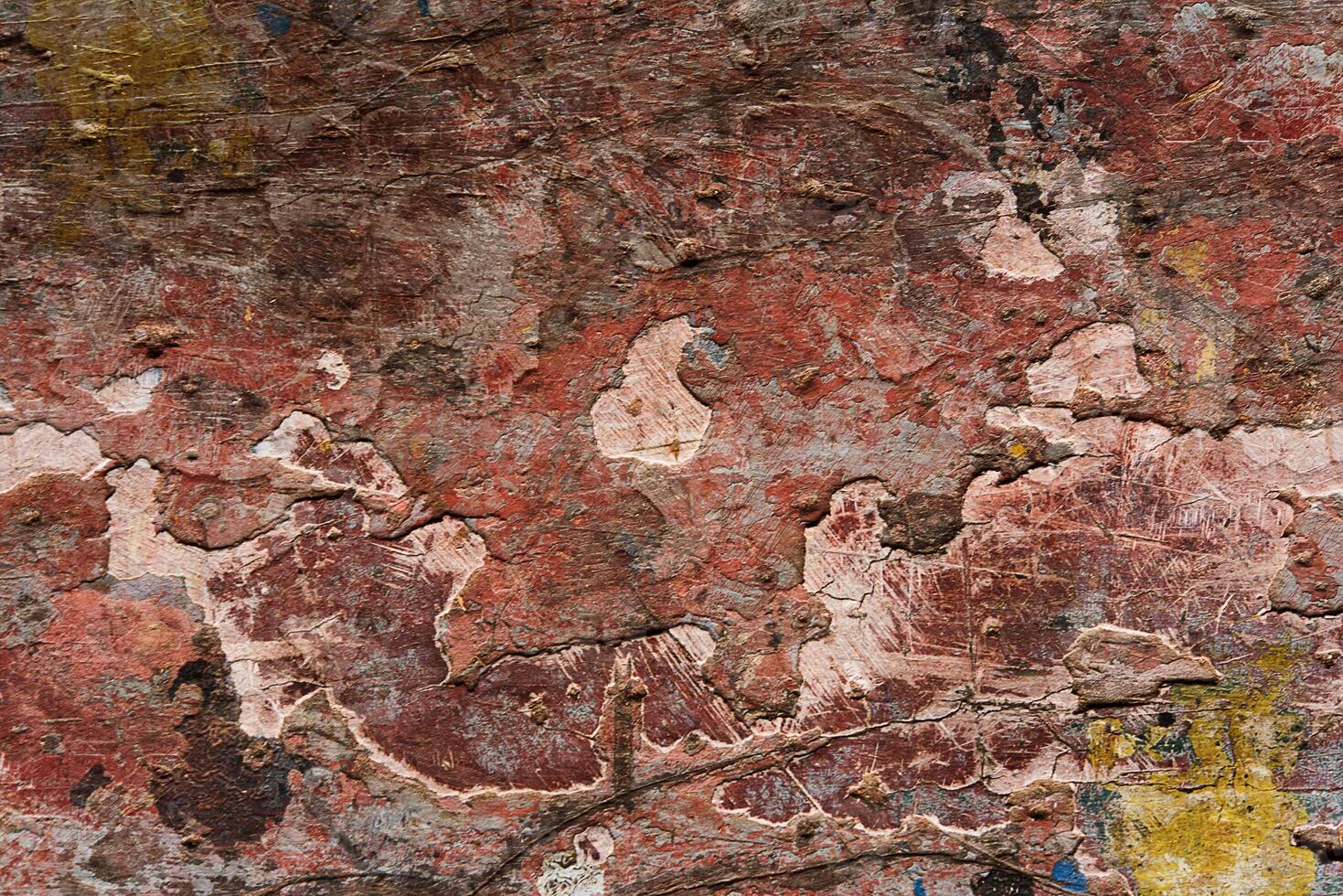 Texture of wood. photo