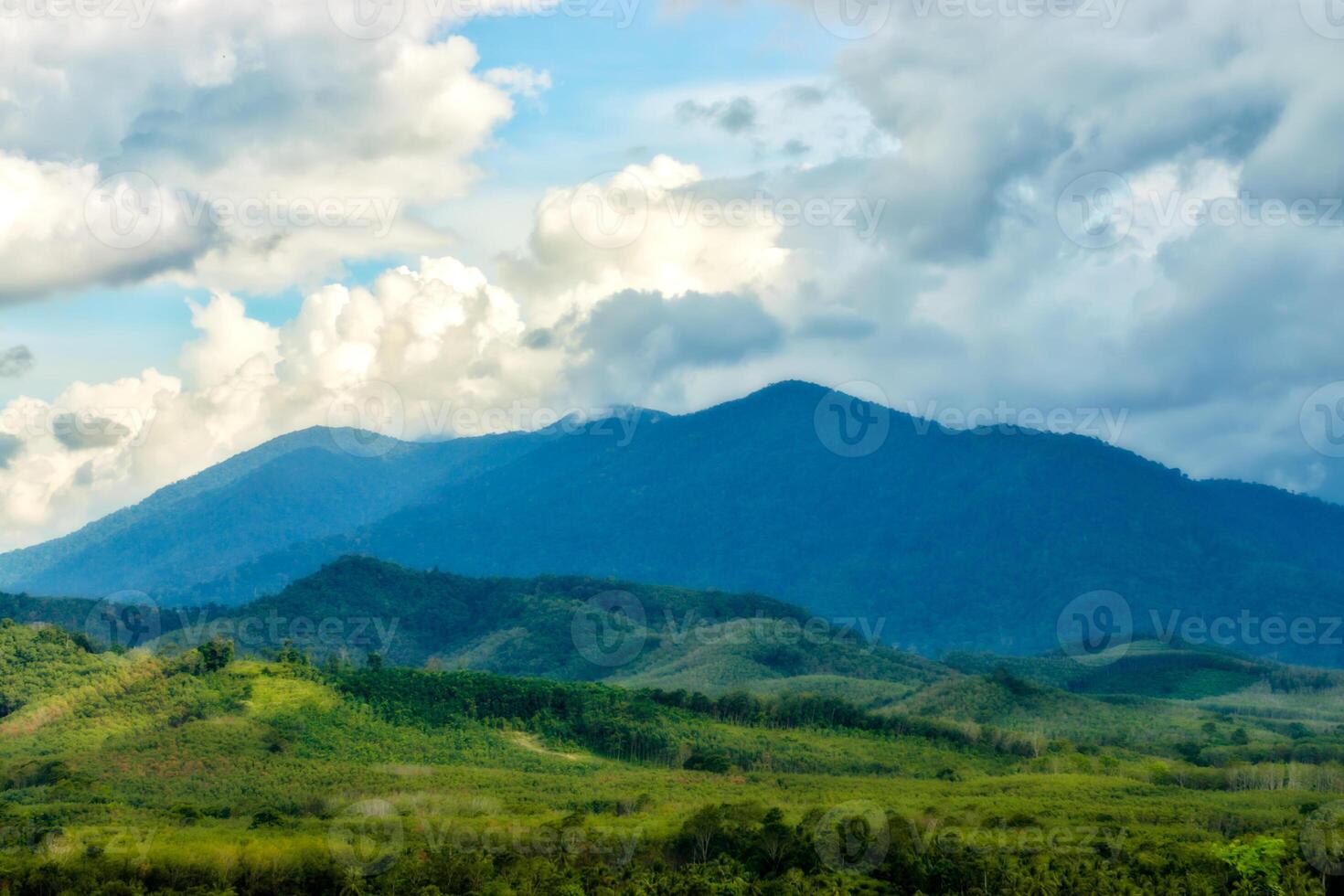 Green forest view on the Mountain. photo