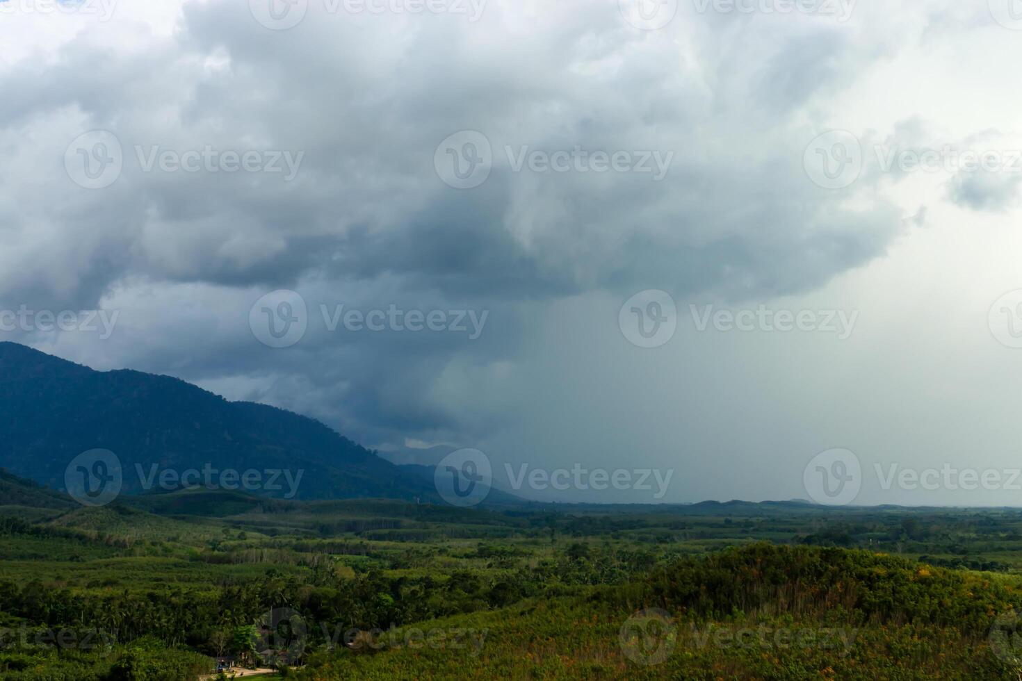 Green forest view on the Mountain. photo