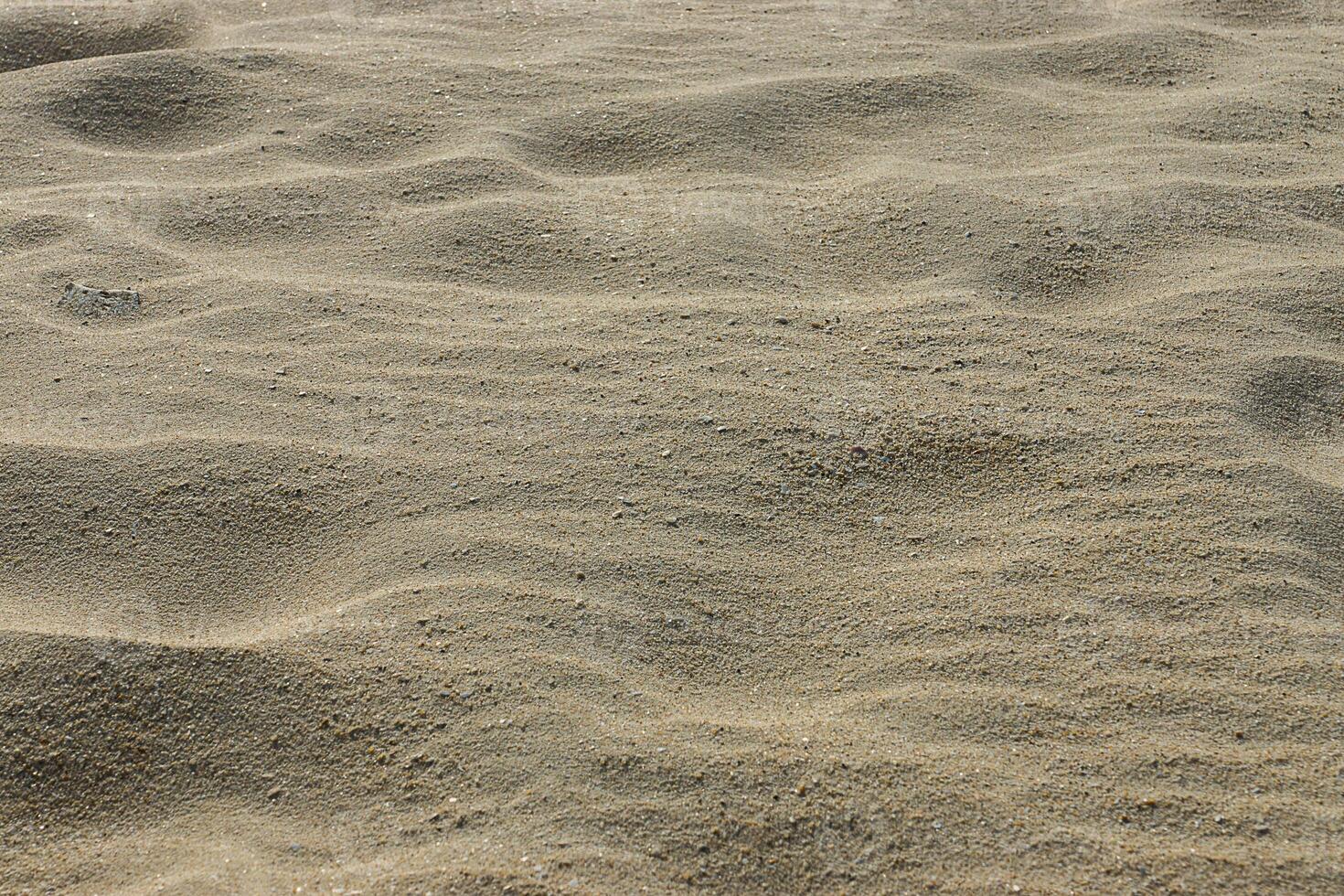 Sand background texture. photo