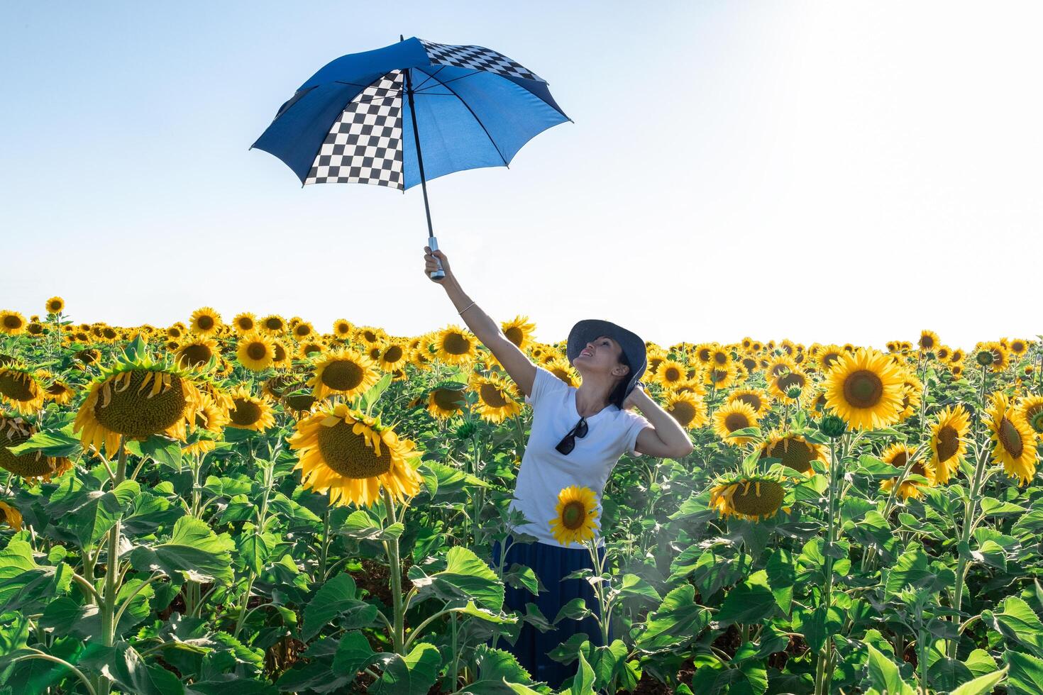 woman with hat in a sunflower field with umbrella photo