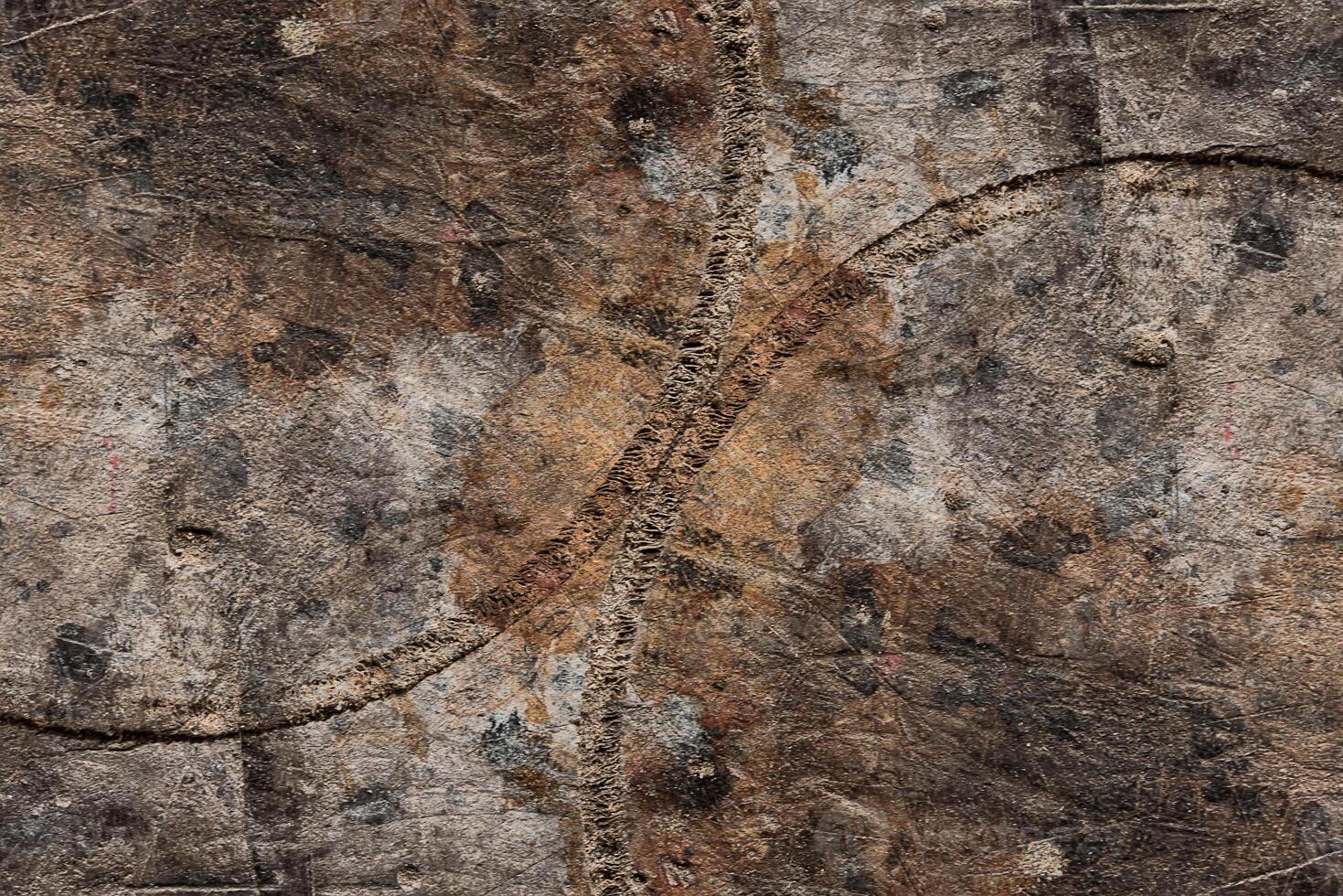Texture of wood. photo