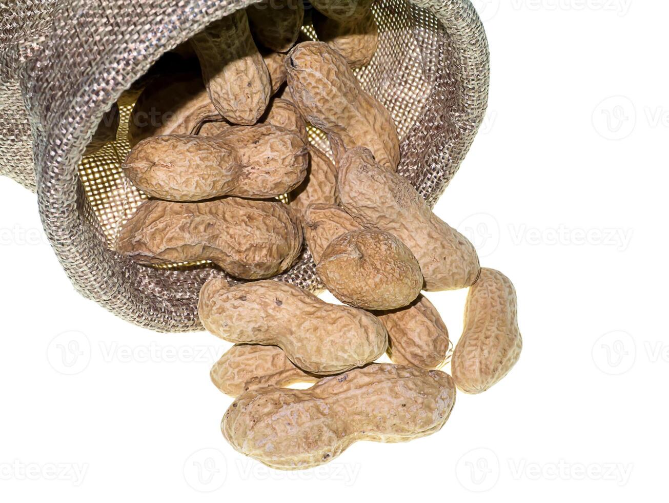 Close up peanut on white background. photo