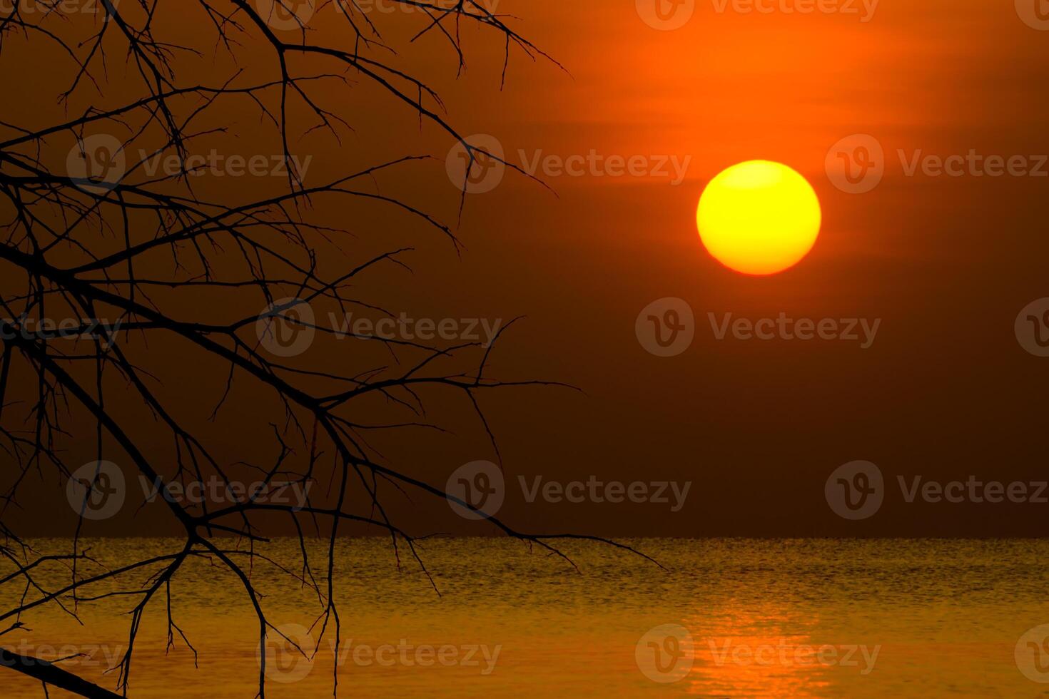 Sunset sky on the lake photo