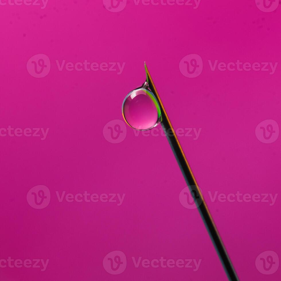 A drop of botox injection solution flows down the needle tip of a disposable syringe. A droplet of liquid medicine on the end of the needle a pink background. The concept of plastic face photo