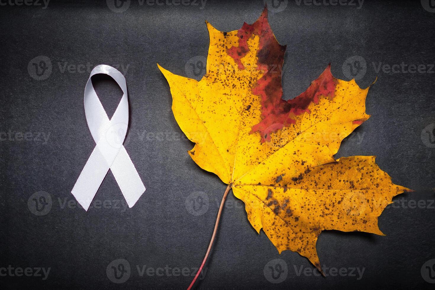 lung cancer ribbon, white ribbon, respiratory cancer control symbol. concept of tumor damage photo