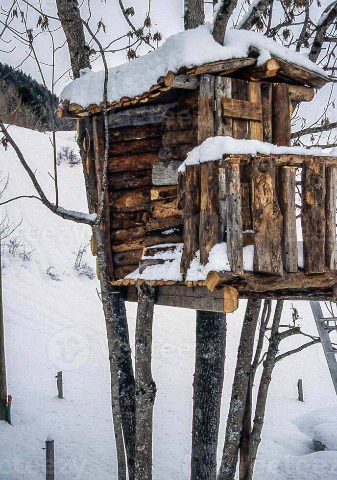 a tree house in the snow photo