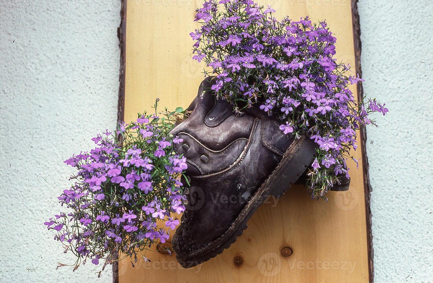 a pair of old boots with purple flowers on it photo