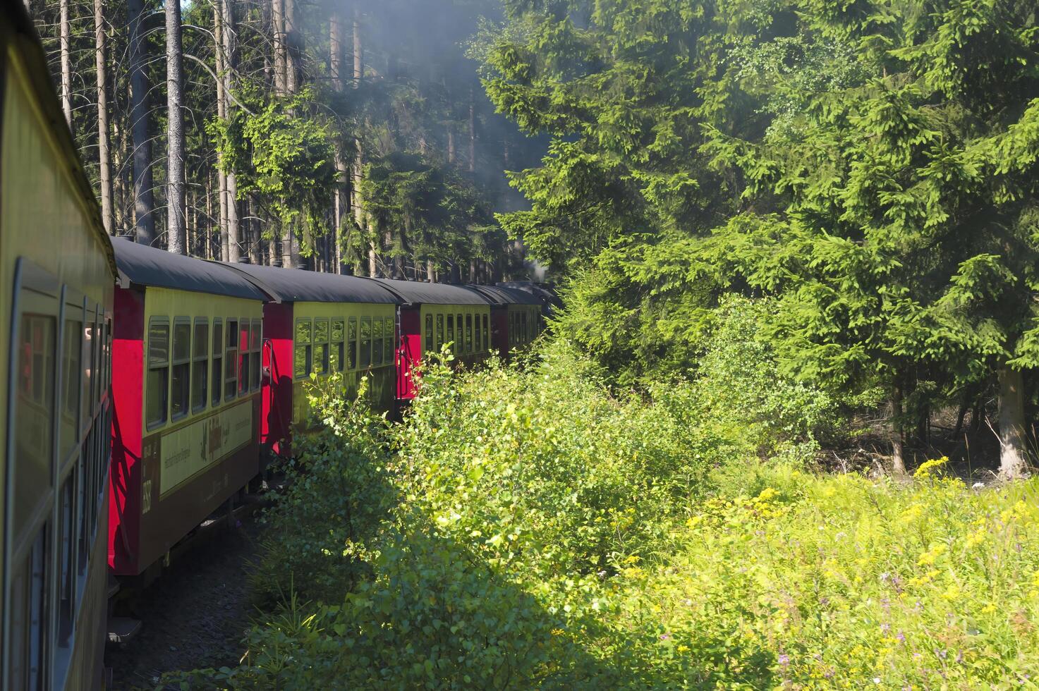Quedlinburg, Germany - 2015,  Brockenbahn railway on the way to the Brocken, Harz, Saxony Anhalt, Germany photo