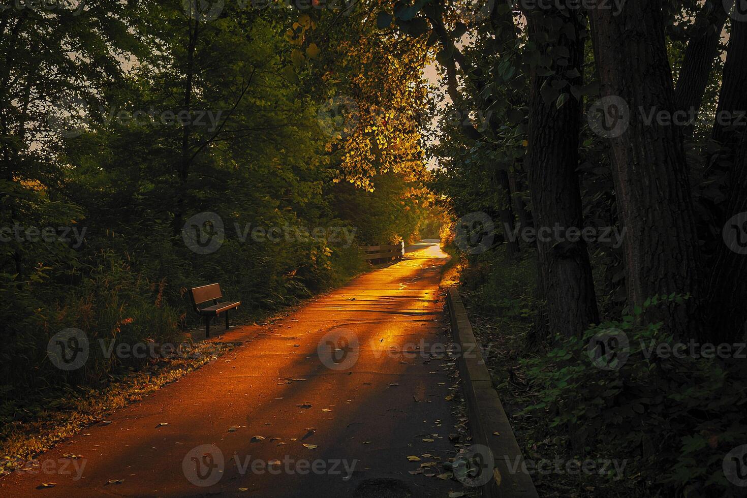 walking towards the light on a city walking trail photo