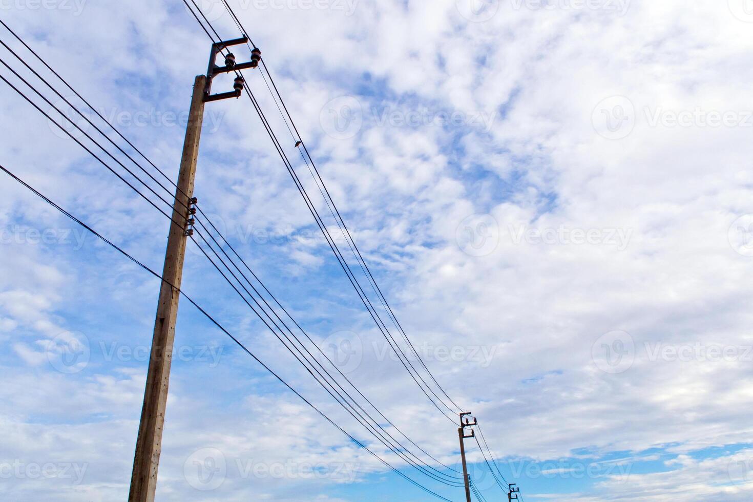 eléctrico polo y cable foto