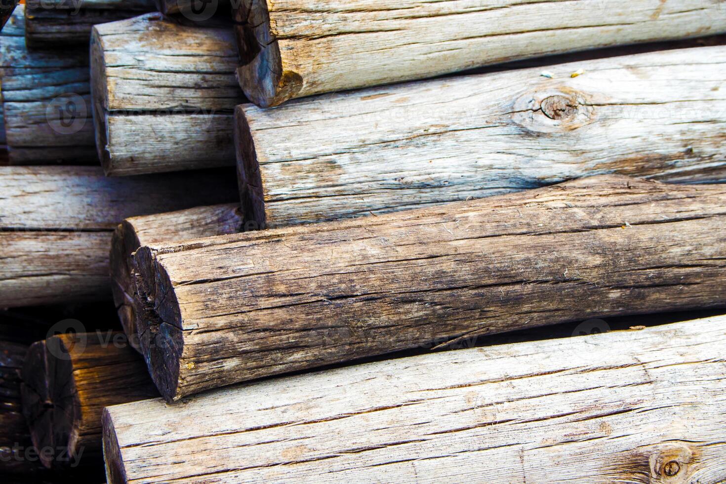 Stacked of firewood logs photo