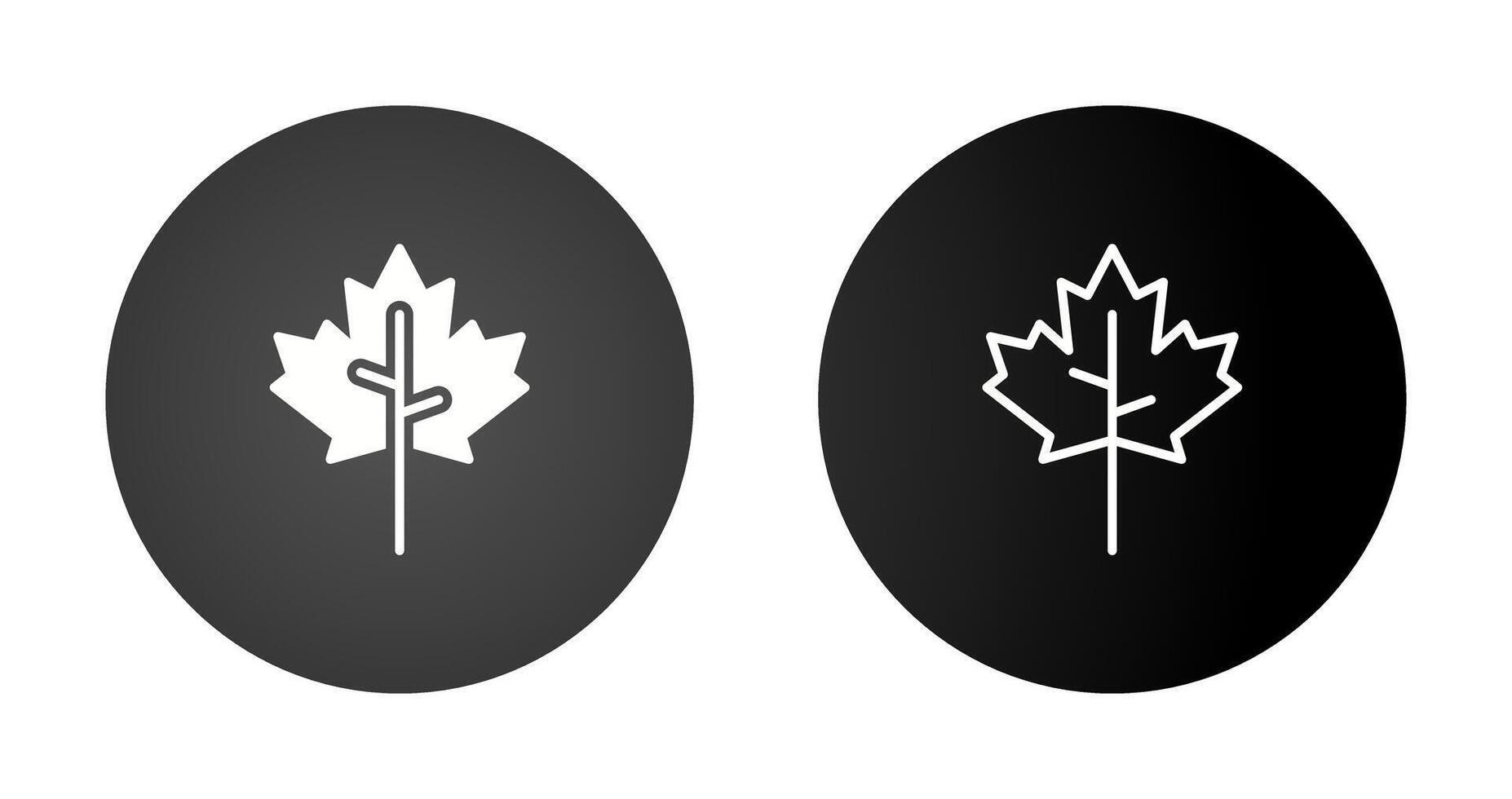 Maple leaf Vector Icon