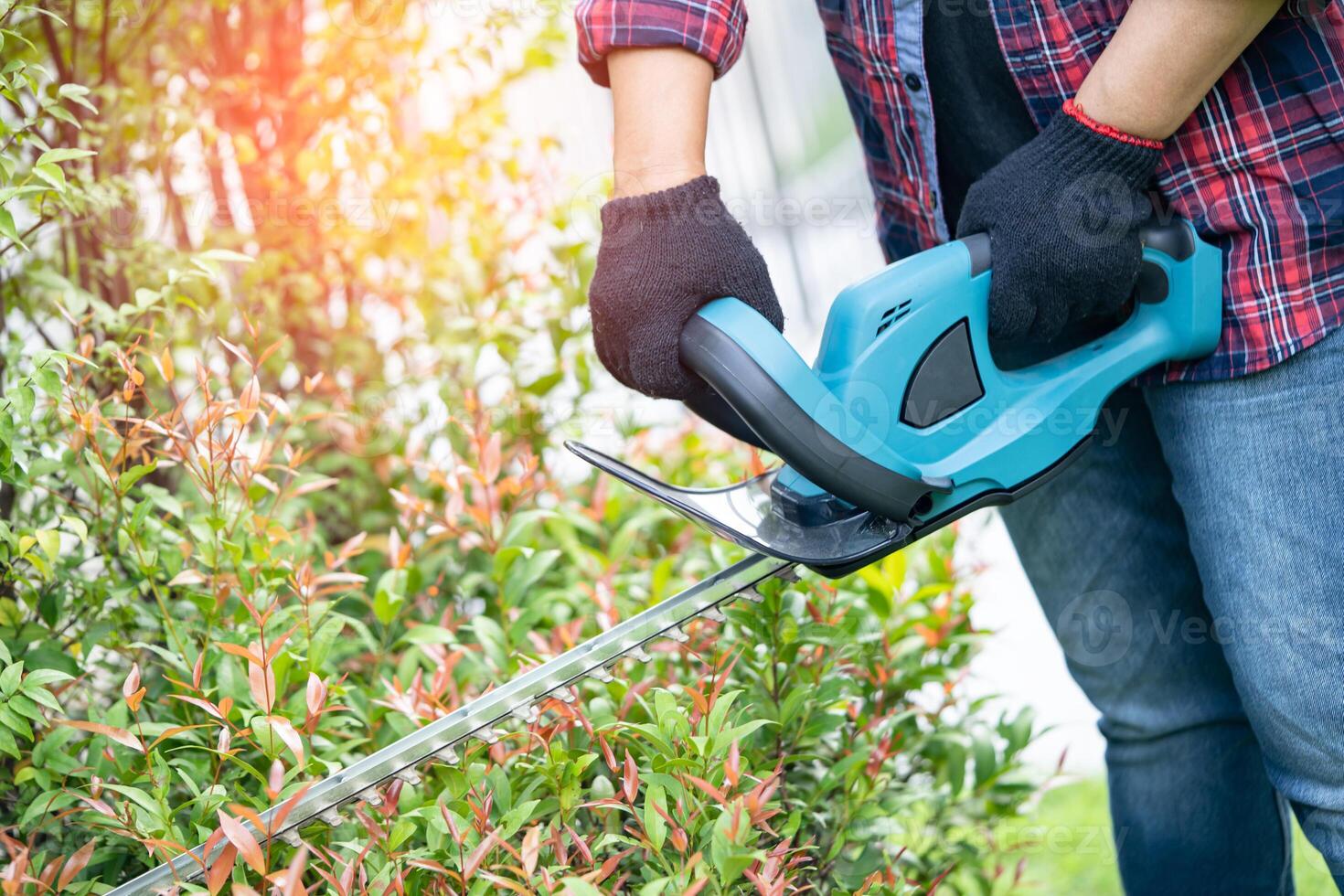 mujer tomando cuidado y creciente plantas, pasatiempo plantando hogar jardín, ornamental poda. foto