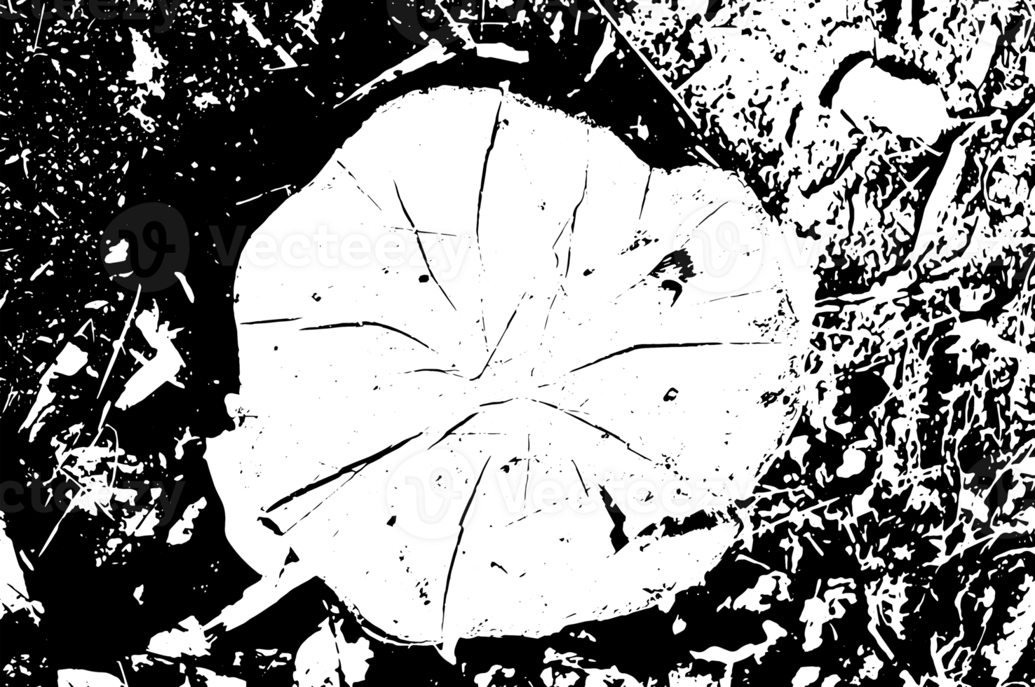 Rustic grunge texture with grain and stains. Abstract noise background. PNG graphic illustration with transparent background.