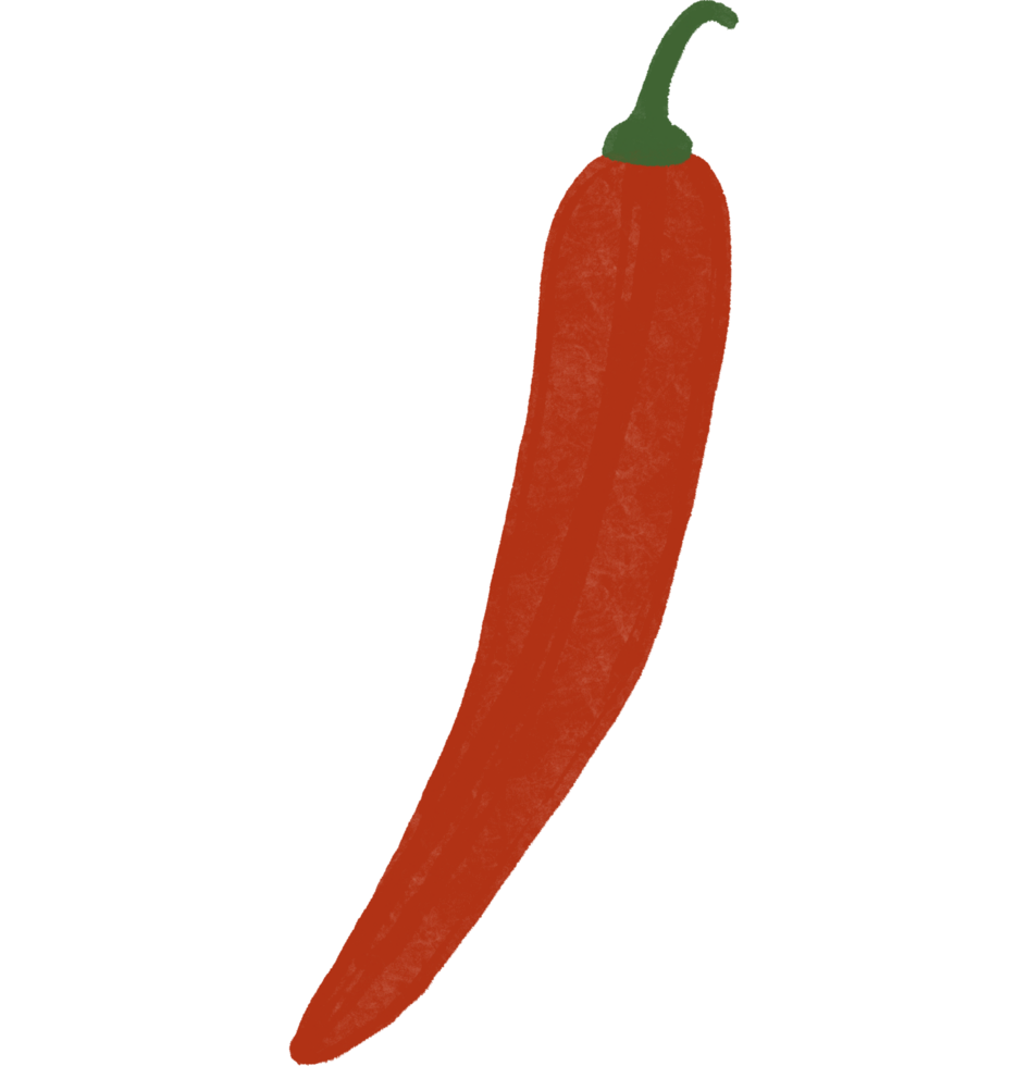 red chili pepper clipart. illustration on transparent background png