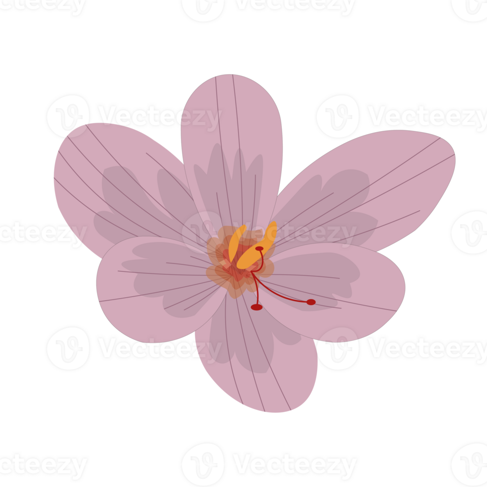 vårens blommor png