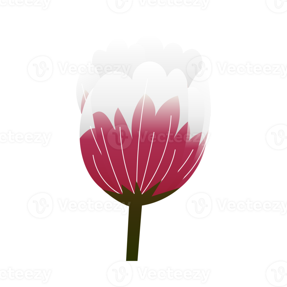 fiori primaverili png