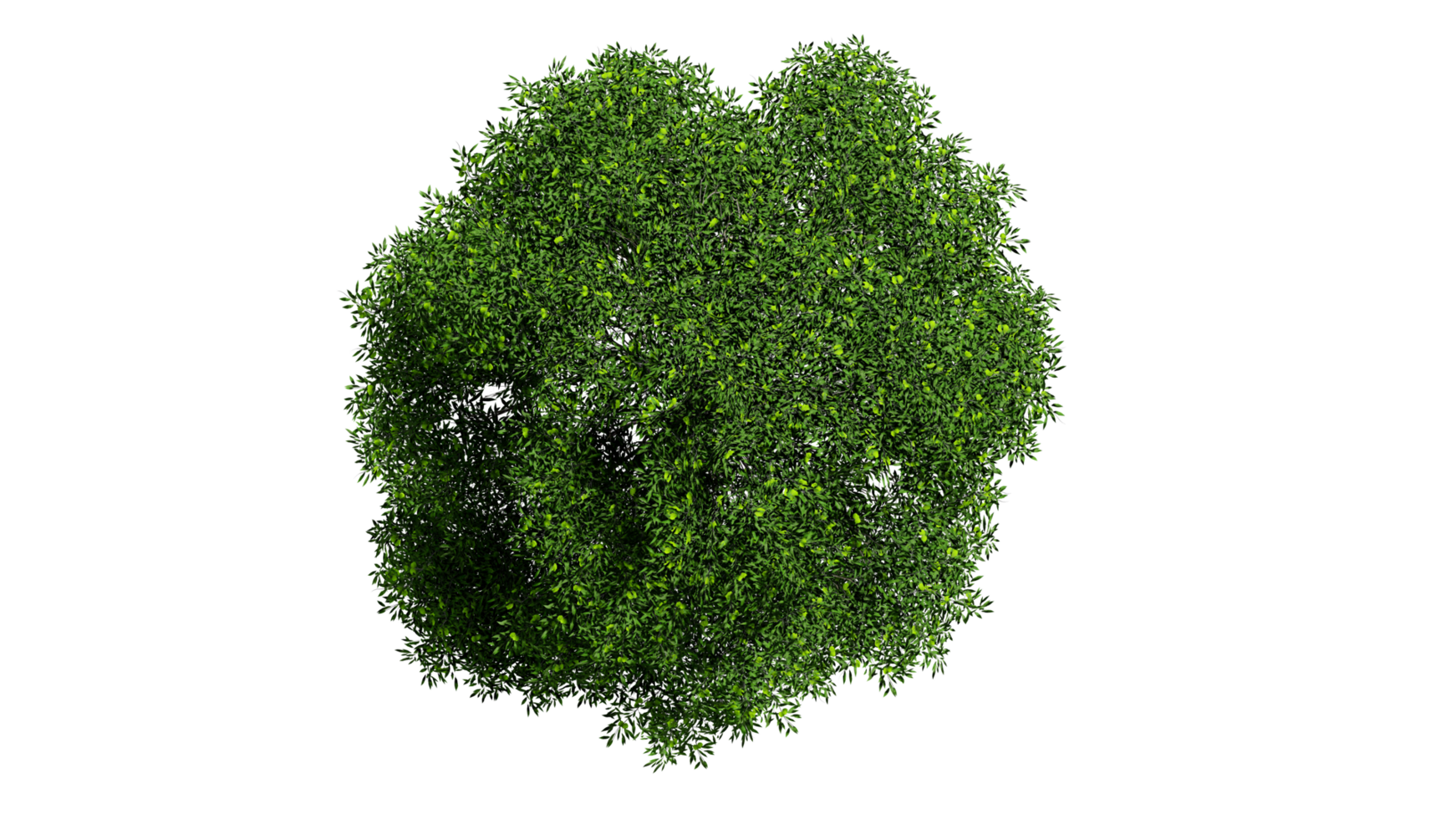 3D Top view Green Trees Isolated on PNGs transparent background , Use for visualization in architectural design or garden decorate