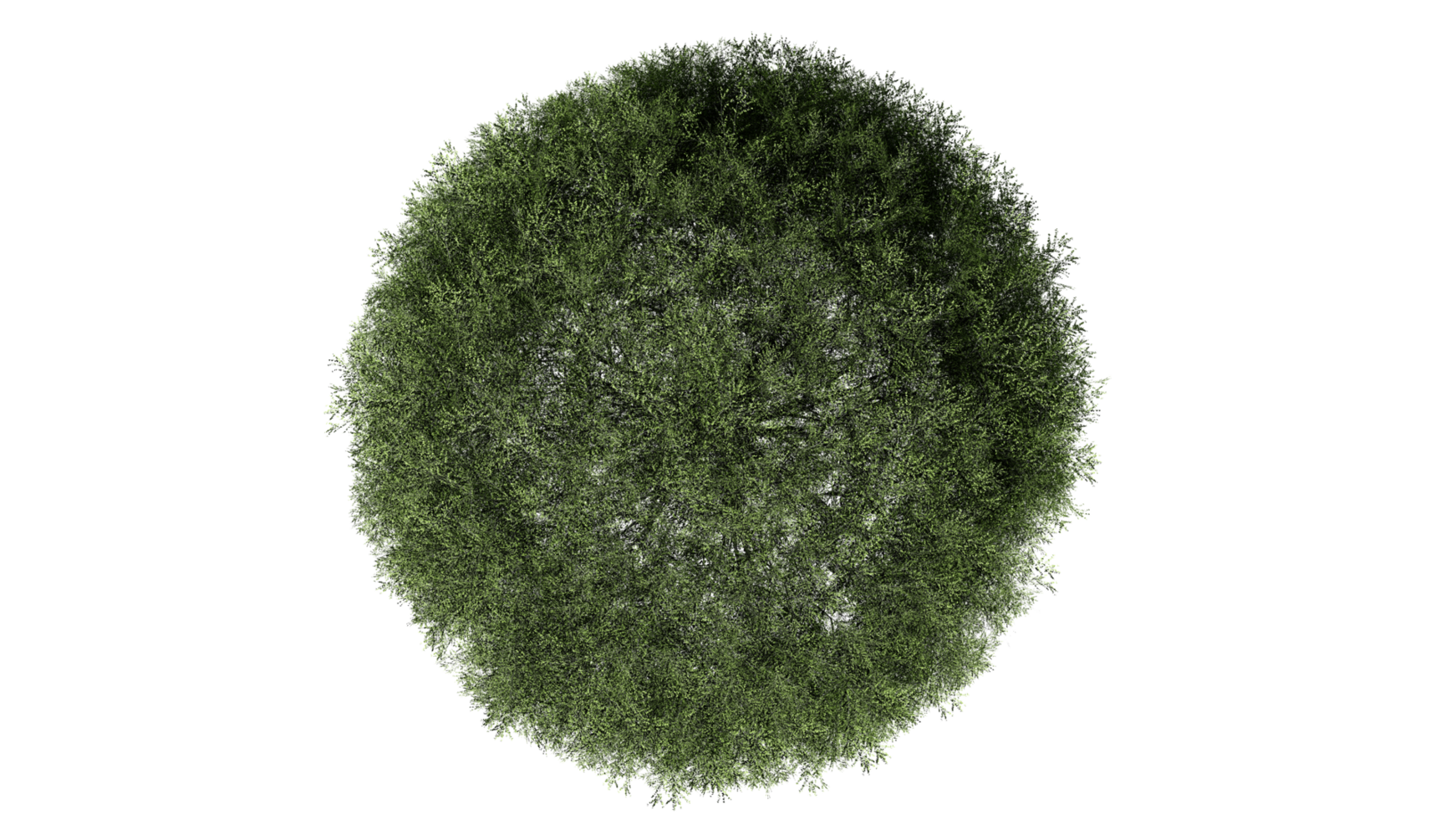 3D Top view Green Trees Isolated on PNGs transparent background , Use for visualization in architectural design or garden decorate