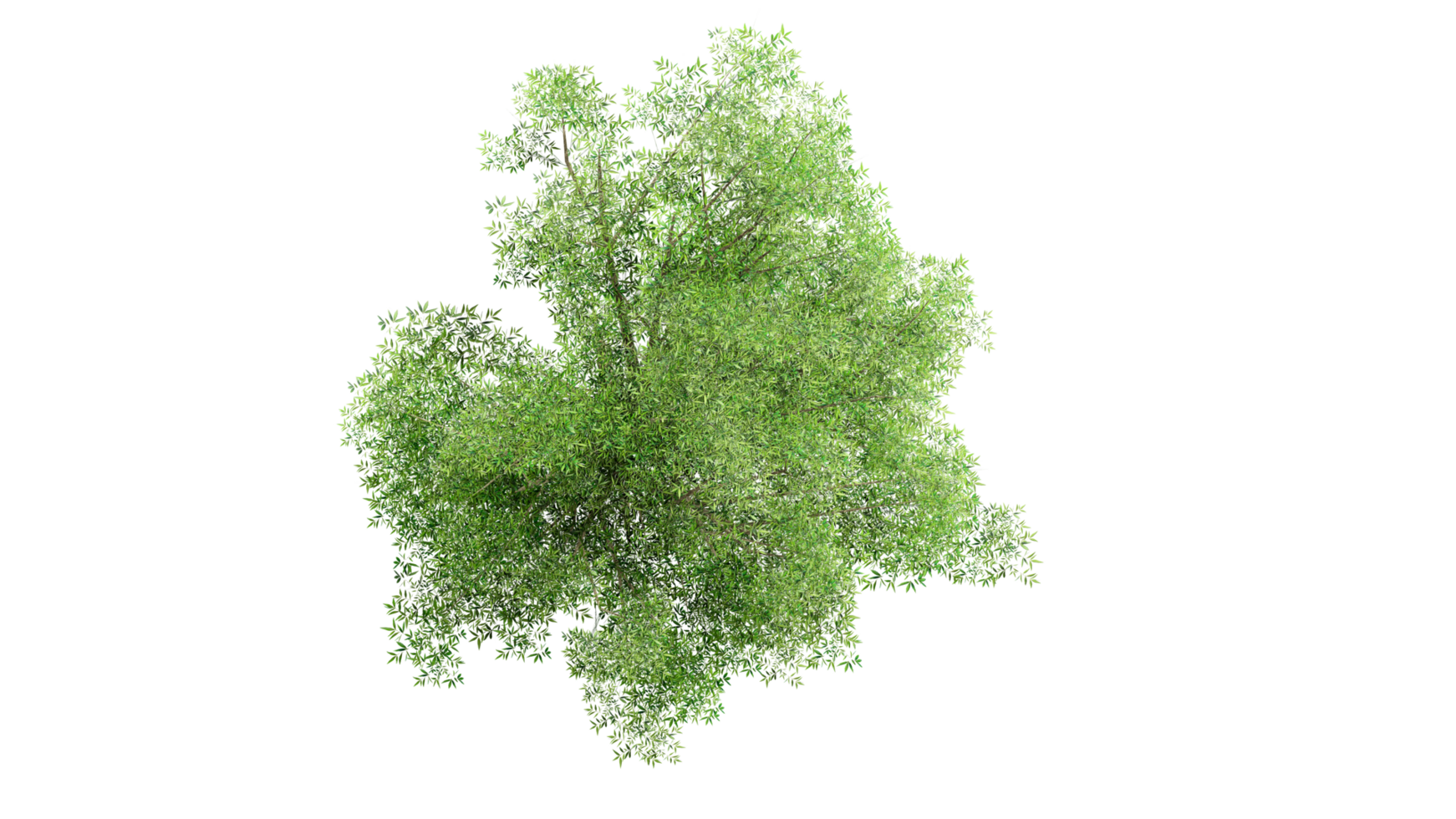 3D Top view Green Trees Isolated on PNGs transparent background , Use for visualization in architectural design or garden decorate