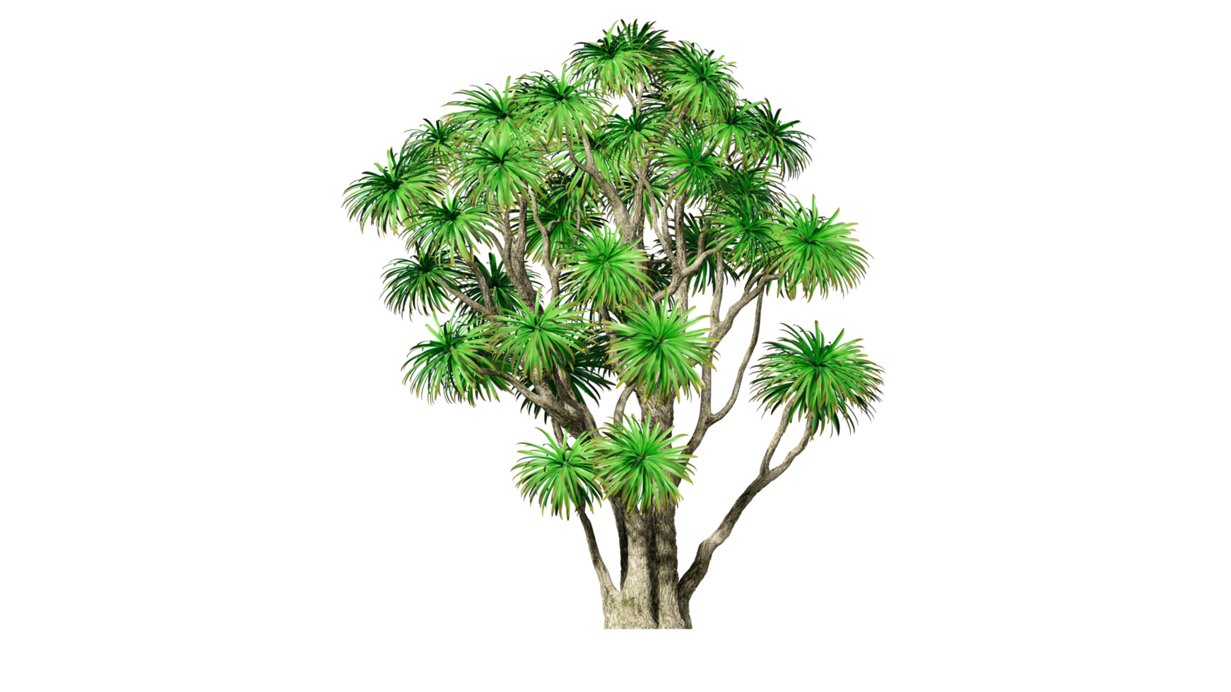 Beautiful 3D Trees Isolated on PNGs transparent background , Use for visualization in architectural design or garden decorate