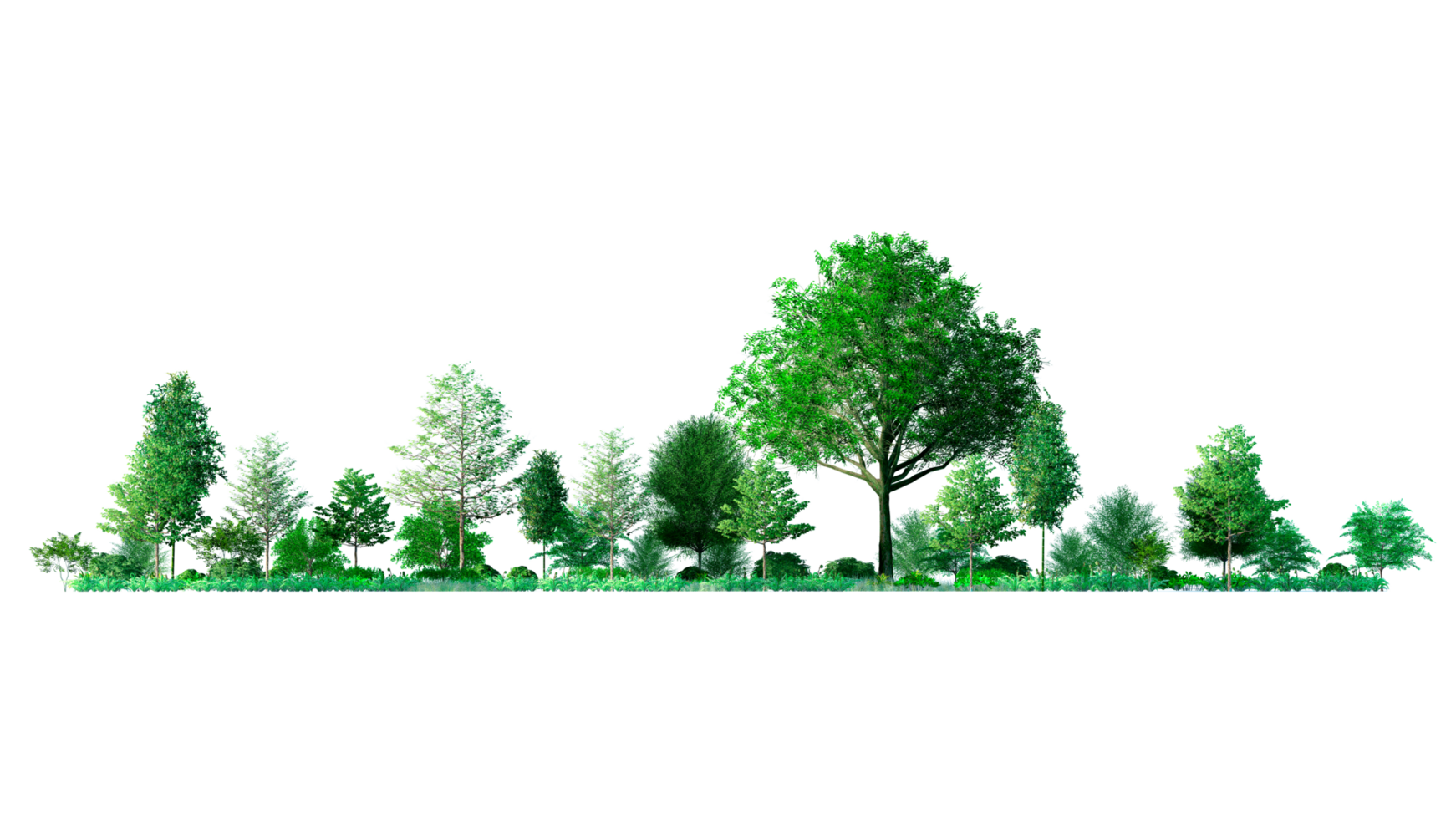 3D Forest and christmas Green trees isolated on PNGs transparent background , Use for visualization in architectural design or garden decorate