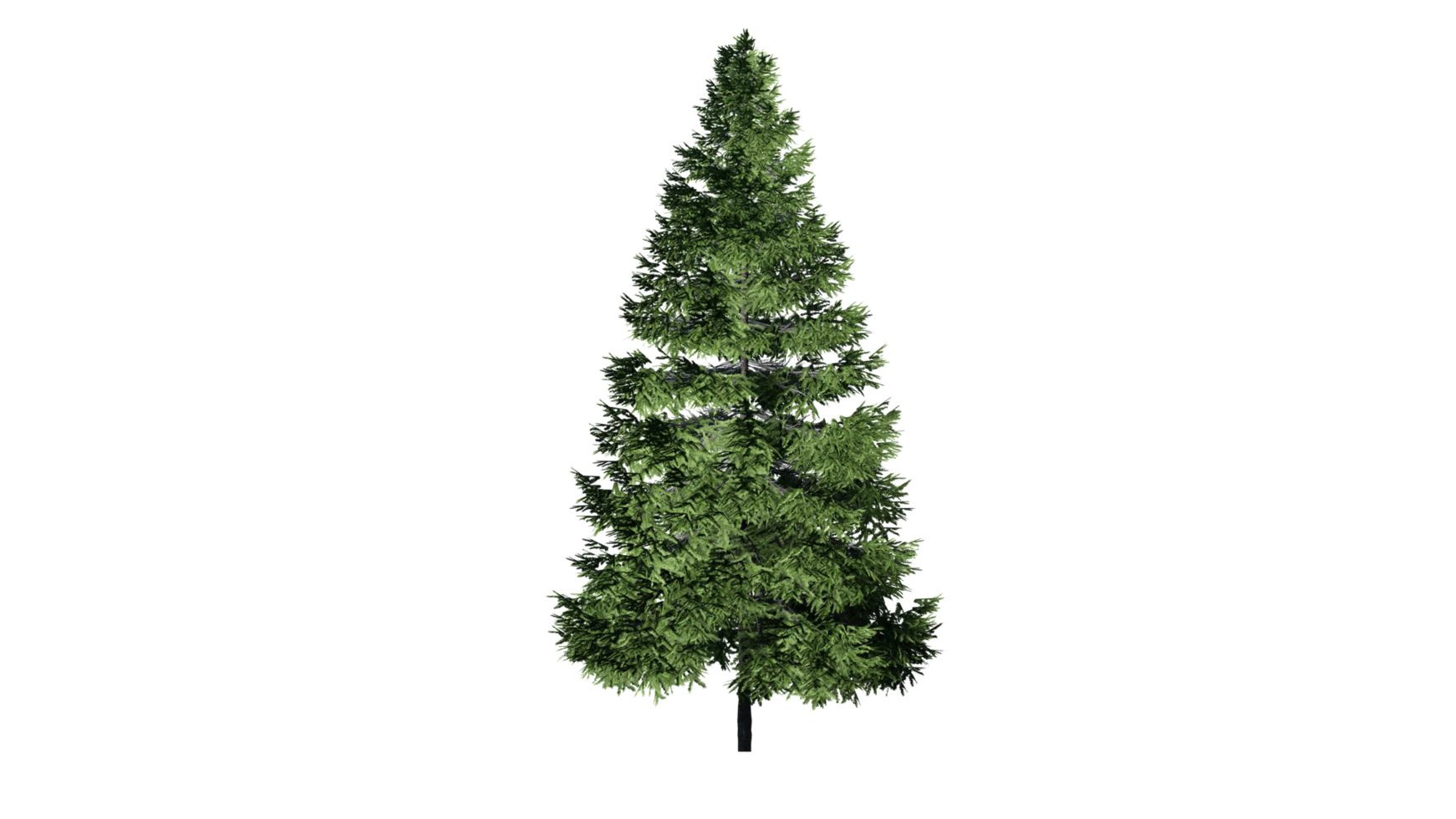 Beautiful 3D Trees Isolated on PNGs transparent background , Use for visualization in architectural design or garden decorate