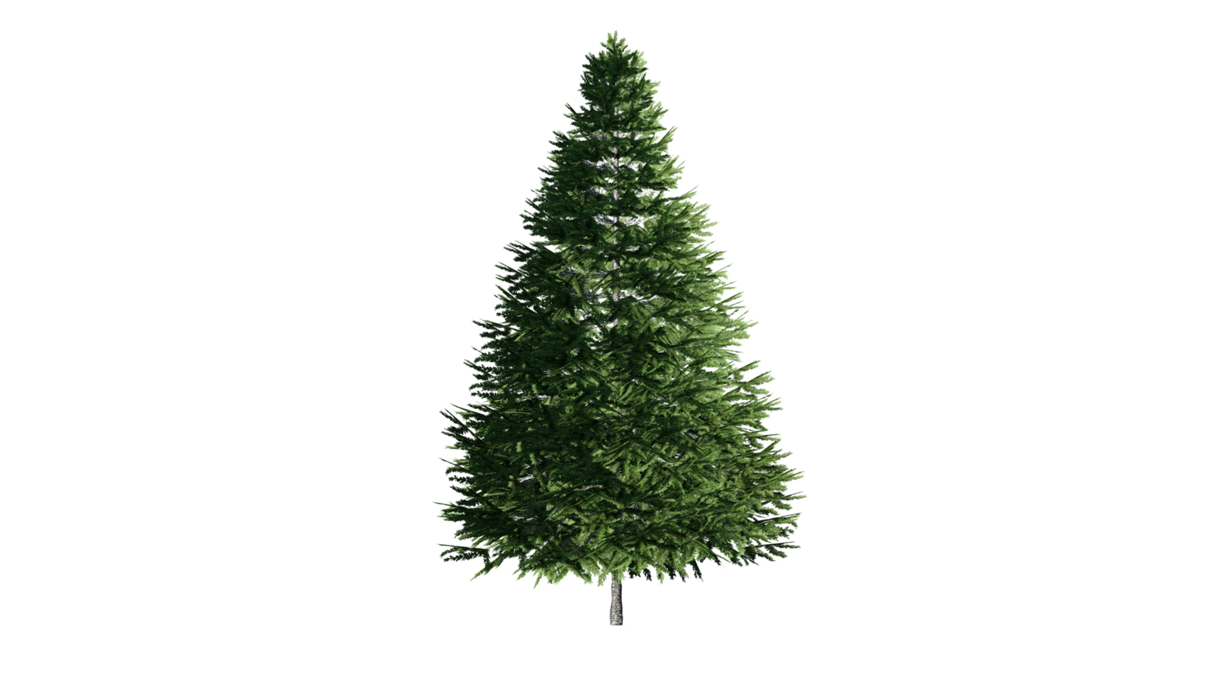 Beautiful 3D Trees Isolated on PNGs transparent background , Use for visualization in architectural design or garden decorate