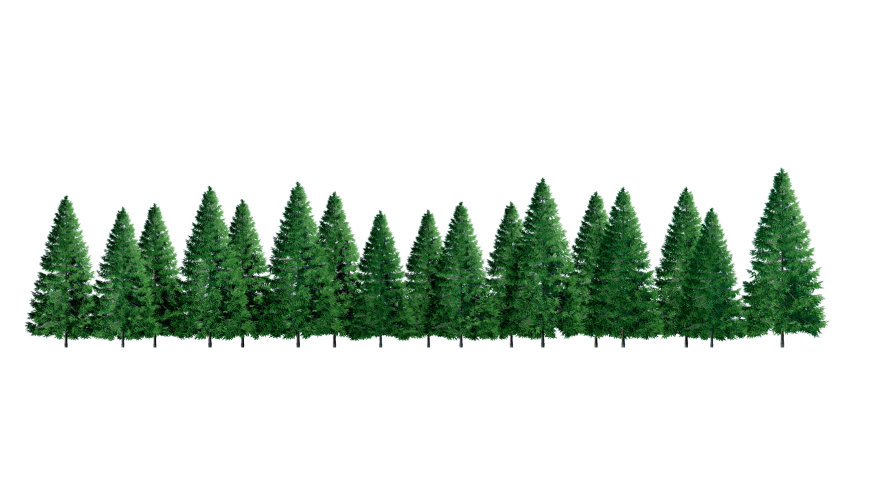 3D Forest and christmas Green trees isolated on PNGs transparent background , Use for visualization in architectural design or garden decorate