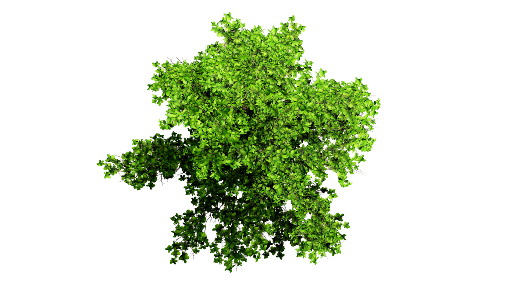 3D Top view Green Trees Isolated on PNGs transparent background , Use for visualization in architectural design or garden decorate