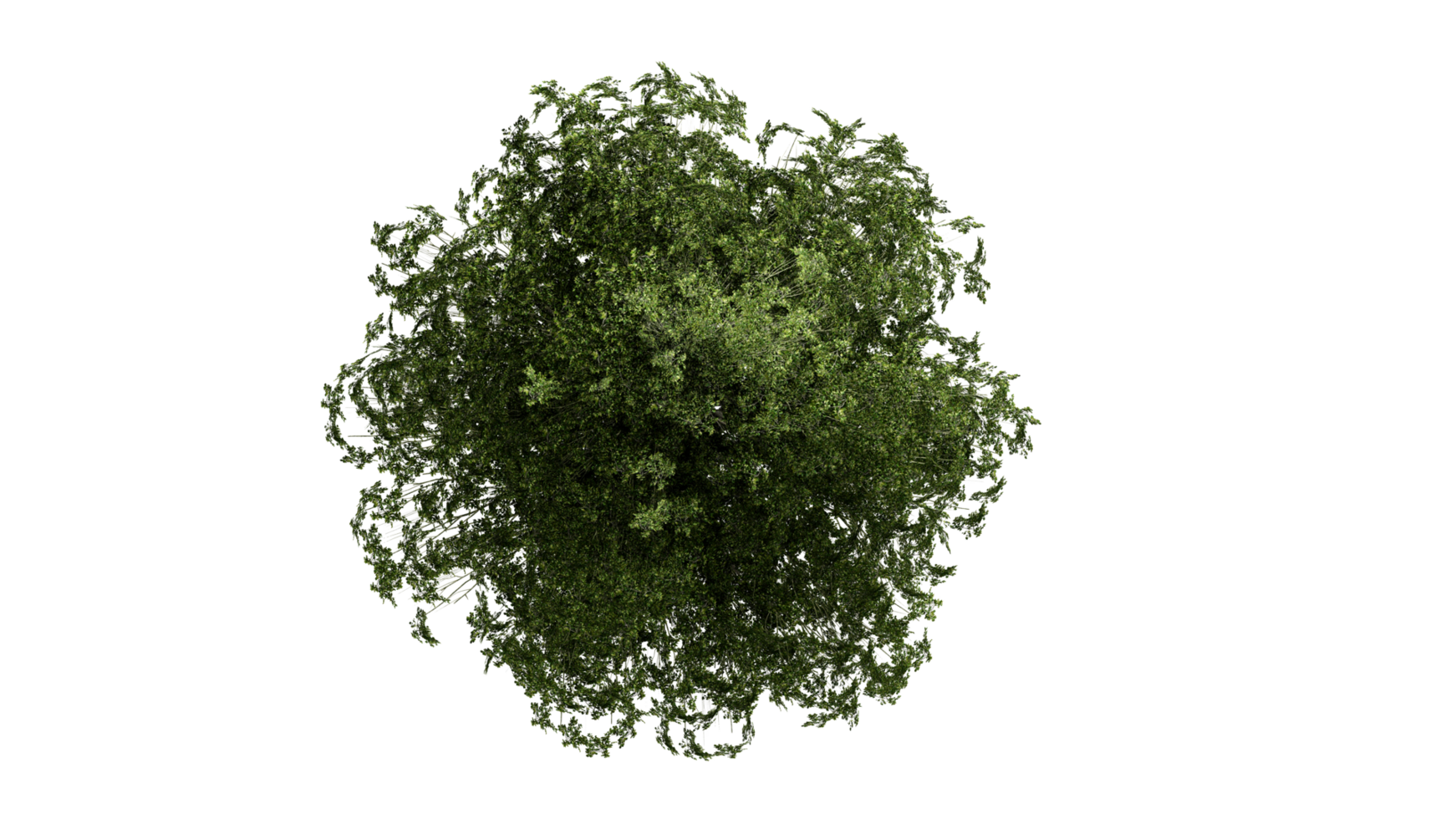 3D Top view Green Trees Isolated on PNGs transparent background , Use for visualization in architectural design or garden decorate