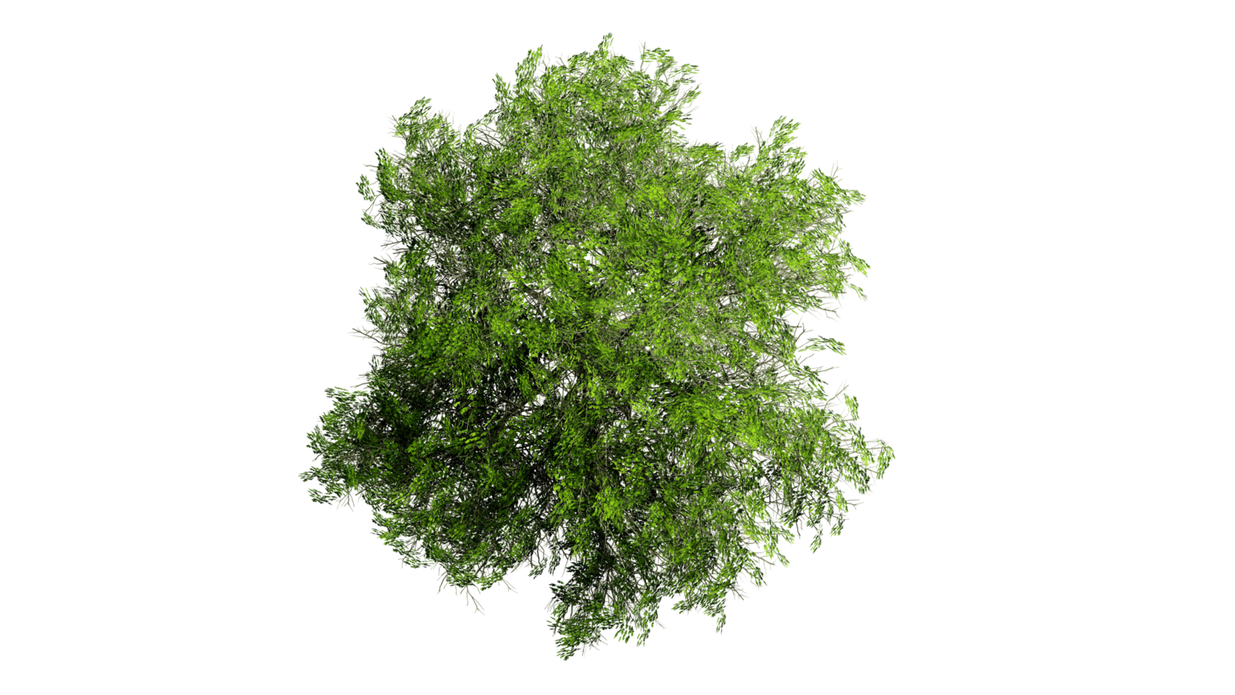 3D Top view Green Trees Isolated on PNGs transparent background , Use for visualization in architectural design or garden decorate