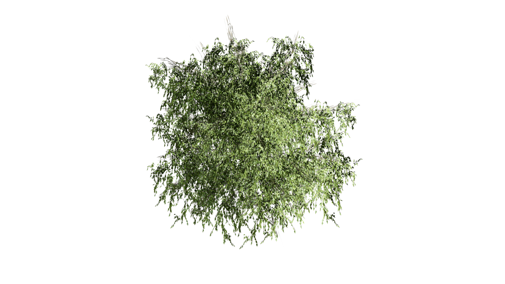 3D Top view Green Trees Isolated on PNGs transparent background , Use for visualization in architectural design or garden decorate