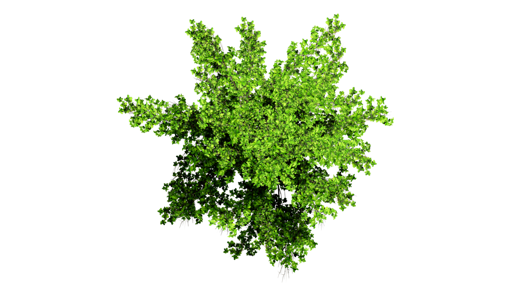 3D Top view Green Trees Isolated on PNGs transparent background , Use for visualization in architectural design or garden decorate