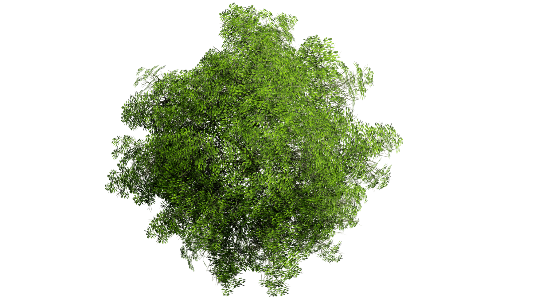 3d oben Aussicht Grün Bäume isoliert auf png transparent Hintergrund , verwenden zum Visualisierung im architektonisch Design oder Garten schmücken