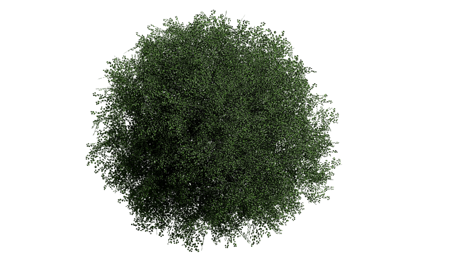 3d top visie groen bomen geïsoleerd Aan png's transparant achtergrond , gebruik voor visualisatie in bouwkundig ontwerp of tuin versieren png