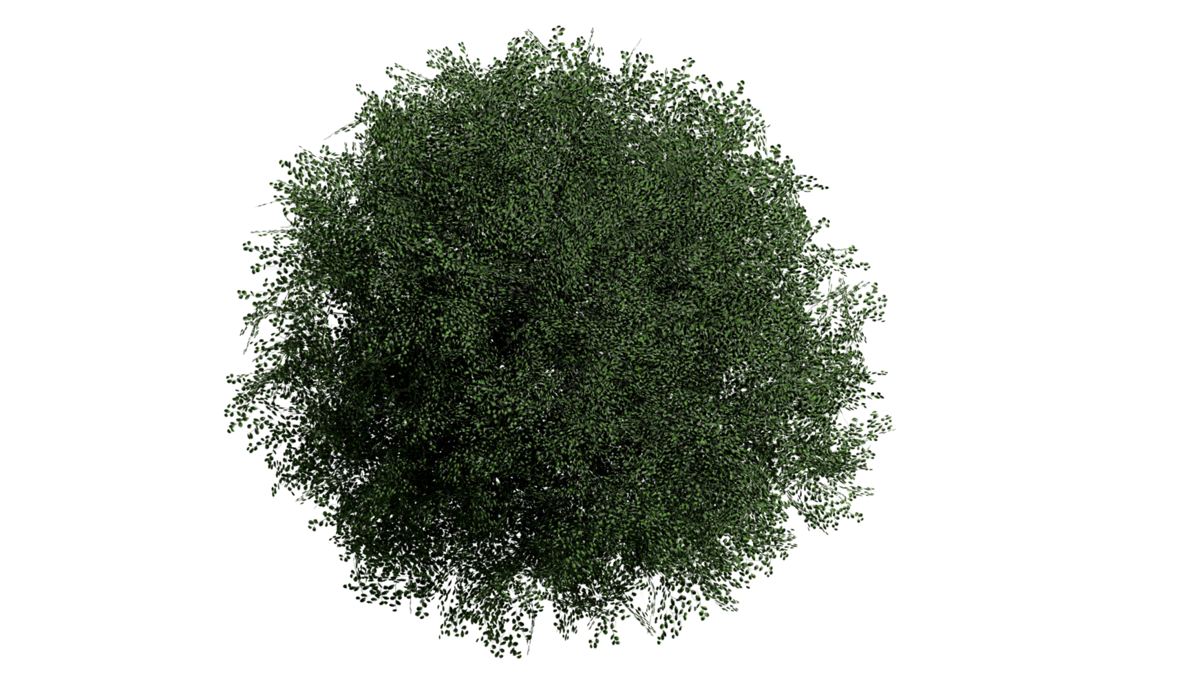 3d superiore Visualizza verde alberi isolato su png trasparente sfondo , uso per visualizzazione nel architettonico design o giardino decorare