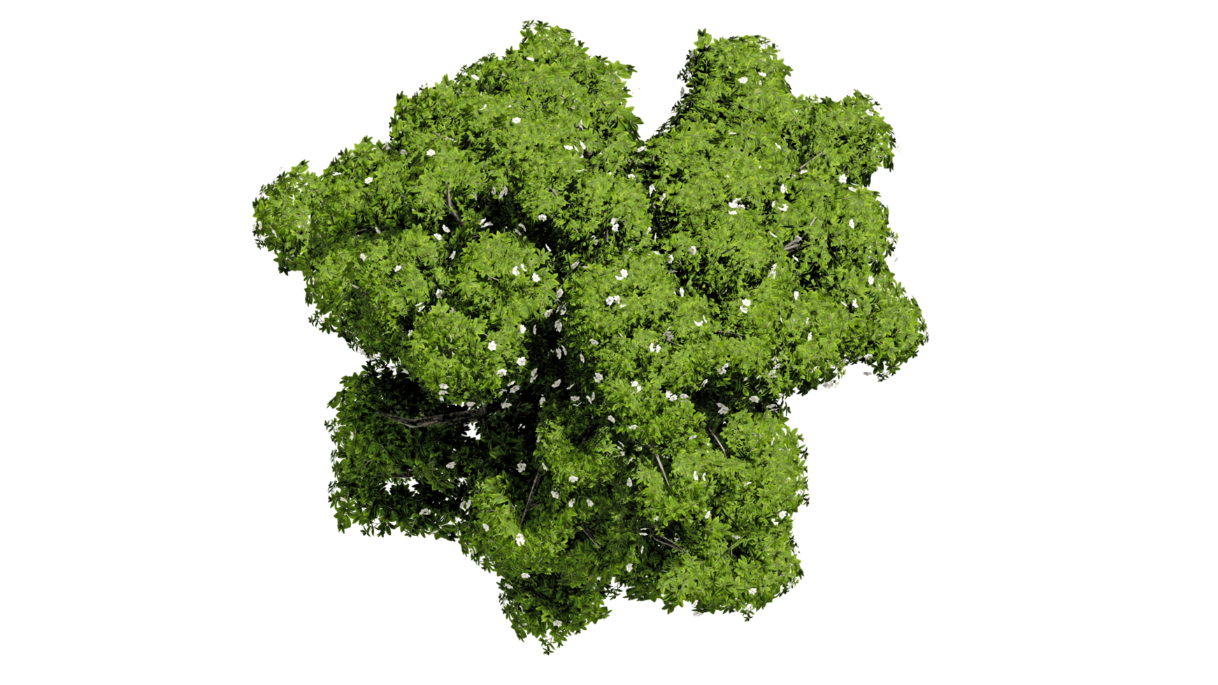 3D Top view Green Trees Isolated on PNGs transparent background , Use for visualization in architectural design or garden decorate