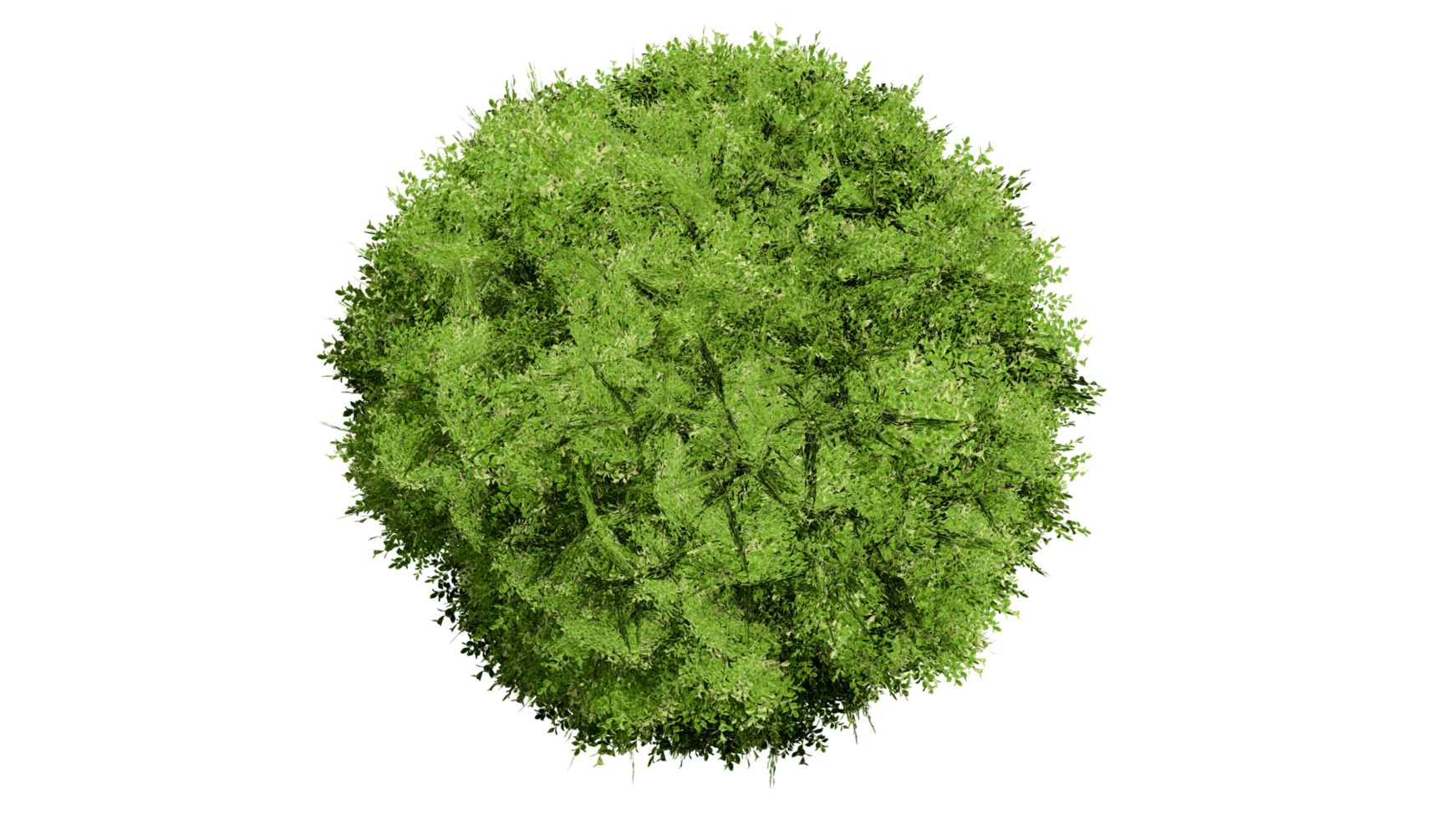 3D Top view Green Trees Isolated on PNGs transparent background , Use for visualization in architectural design or garden decorate